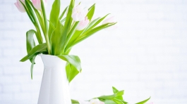 demo-attachment-783-brooke-lark-210780@2x