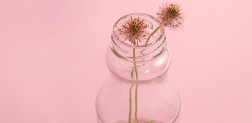 demo-attachment-796-photo-1429679310900-bad303d0e63a-1@2x